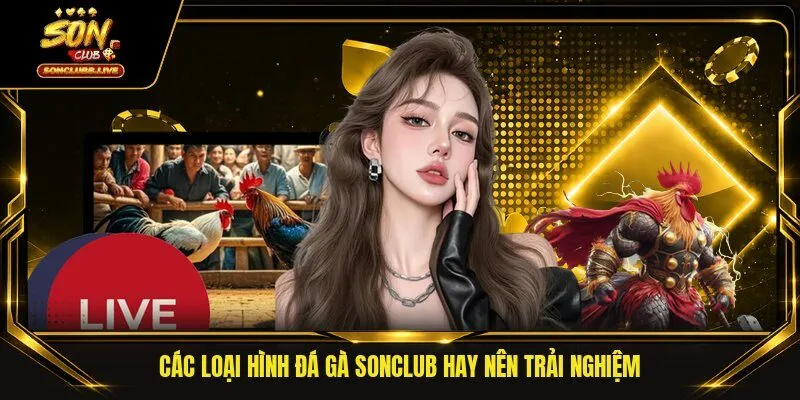 Các loại hình đá gà Sonclub hay nên trải nghiệm