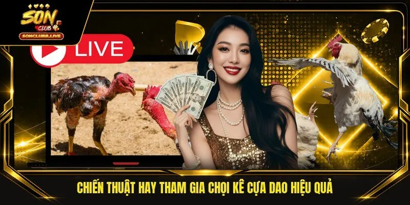 Chiến thuật hay tham gia chọi kê cựa dao hiệu quả
