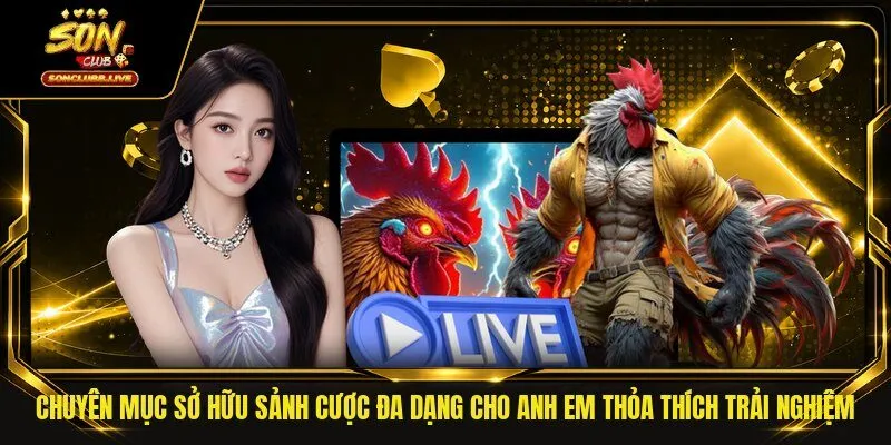 Chuyên mục sở hữu sảnh cược đa dạng cho khách hàng thỏa thích trải nghiệm