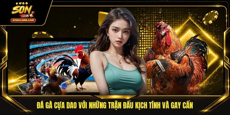 Đá Gà Cựa Dao Với Những Trận Đấu Kịch Tính Và Gay Cấn