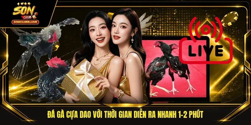 Đá gà cựa dao với thời gian diễn ra nhanh 1-2 phút