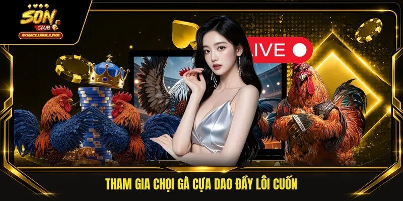 Tham gia chọi gà cựa dao đầy lôi cuốn
